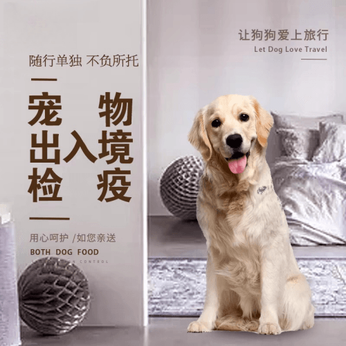 白城市宠物托运到哥伦比亚猫狗宠物入境规定和