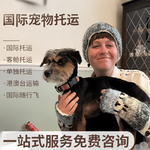 白城市国际宠物托运到阿根廷宠物入境规定和要