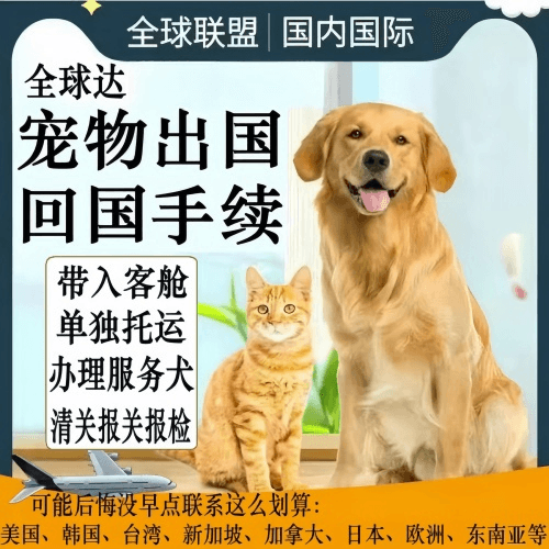 白城市宠物托运到柬埔寨宠物入境规定和要求